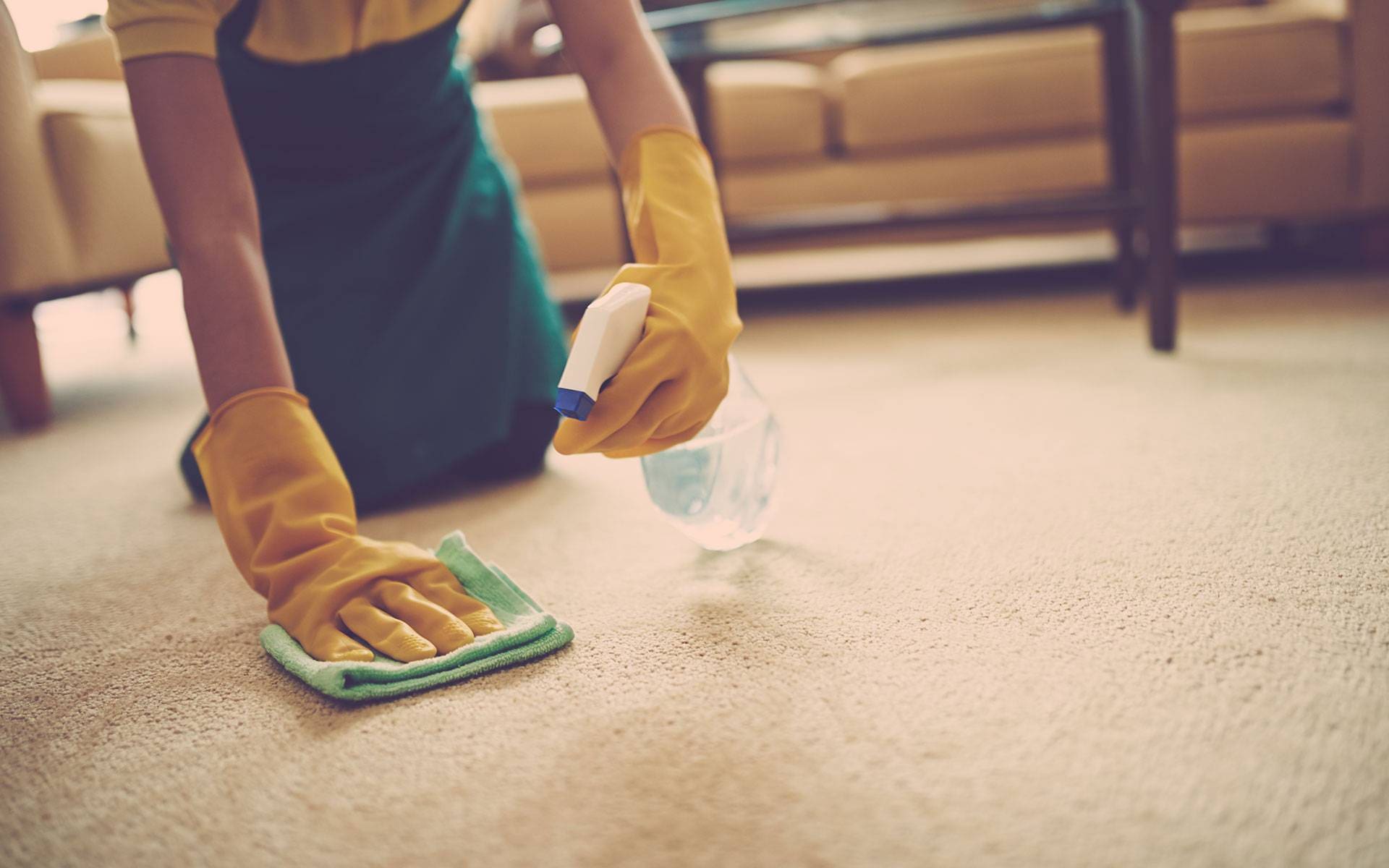 How to Remove Old Urine Stains from Carpet FlooPros of Western PA