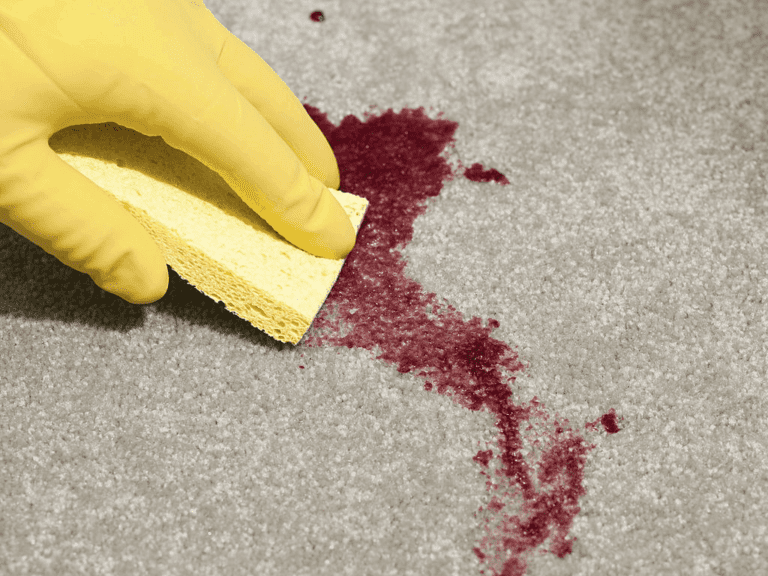 In the photo, a hand holding a scrubber is meticulously removing a blood stain from the carpet, showcasing careful and thorough cleaning efforts.