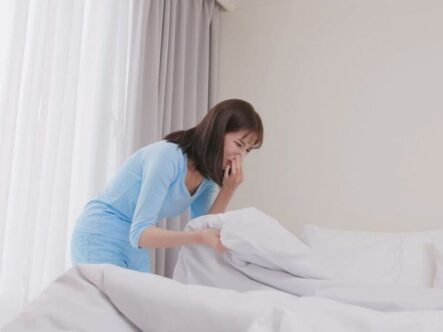 {{brizy_dc_image_alt entityId=