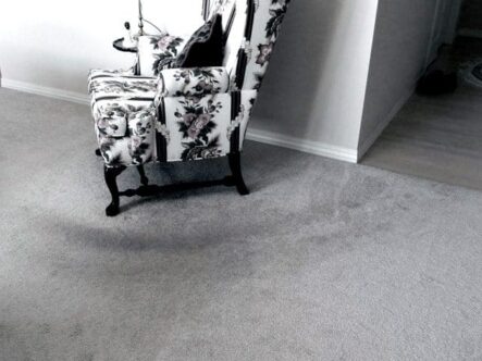 traffic lanes in carpets are a sign of an underlying problem.